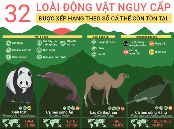 Hình ảnh minh họa các loài động vật đang đối mặt với nguy cơ tuyệt chủng