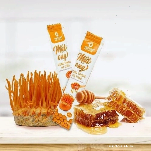 Hình ảnh minh họa các loại thực phẩm giàu vitamin C và chất chống oxy hóa tốt cho sức đề kháng