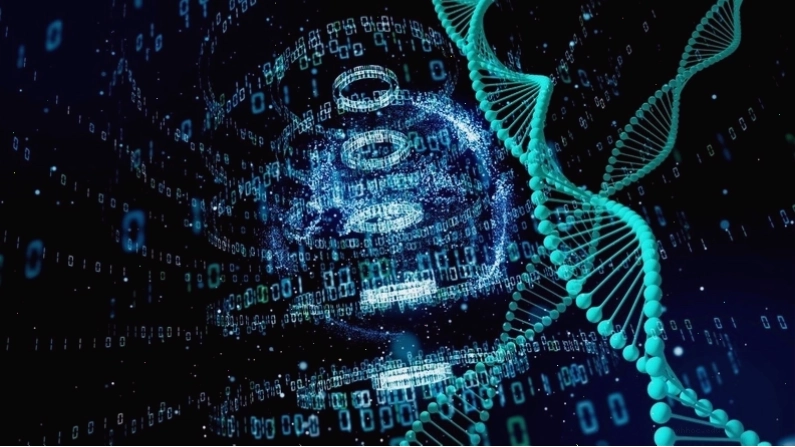 Hình ảnh minh họa cấu trúc xoắn kép DNA
