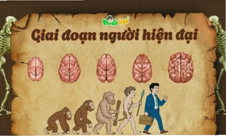 Hình ảnh minh họa con người hiện đại Homo sapiens