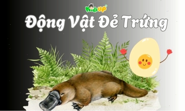 Hình ảnh minh họa đa dạng các loài động vật đẻ trứng