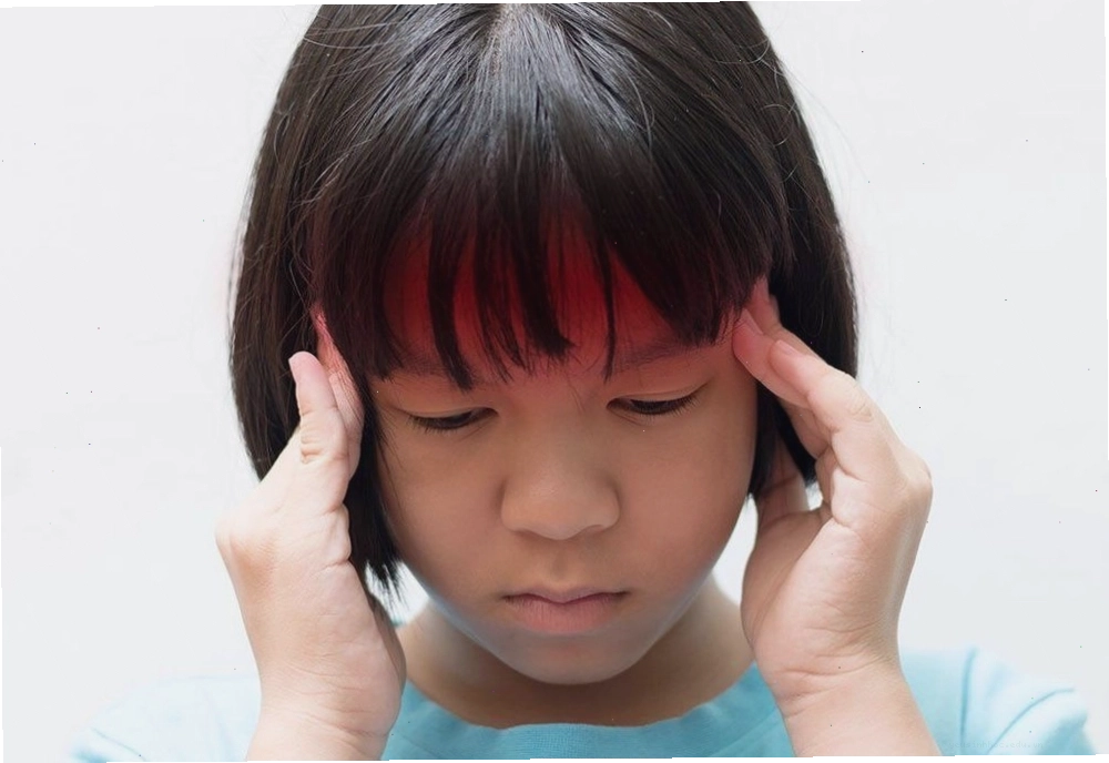 Hình ảnh minh họa não bộ, nhấn mạnh khu vực tuyến yên