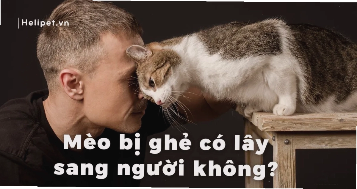 Hình ảnh minh họa nốt ghẻ trên da người