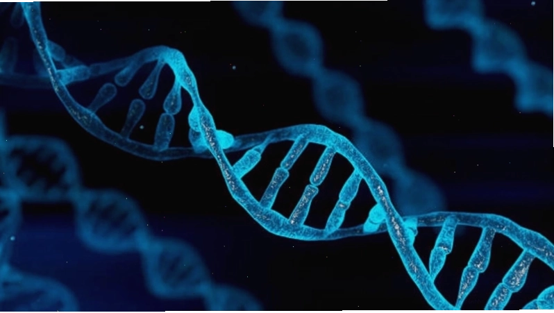 Hình ảnh minh họa sự khác biệt giữa DNA và RNA