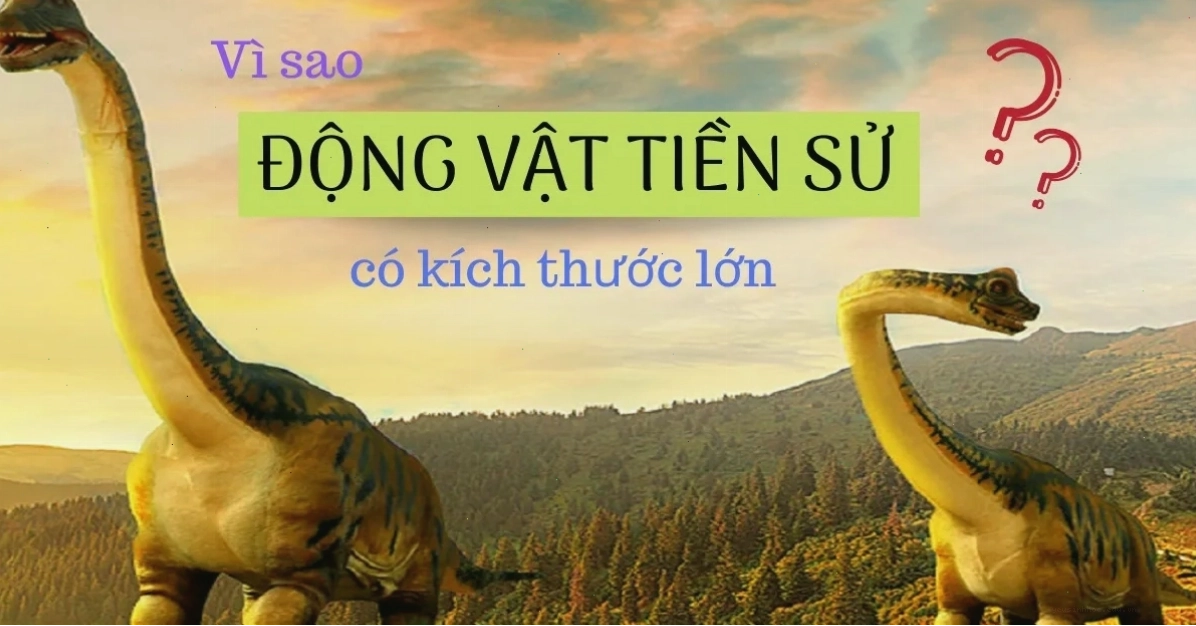 Hình ảnh minh họa về khủng long thời tiền sử