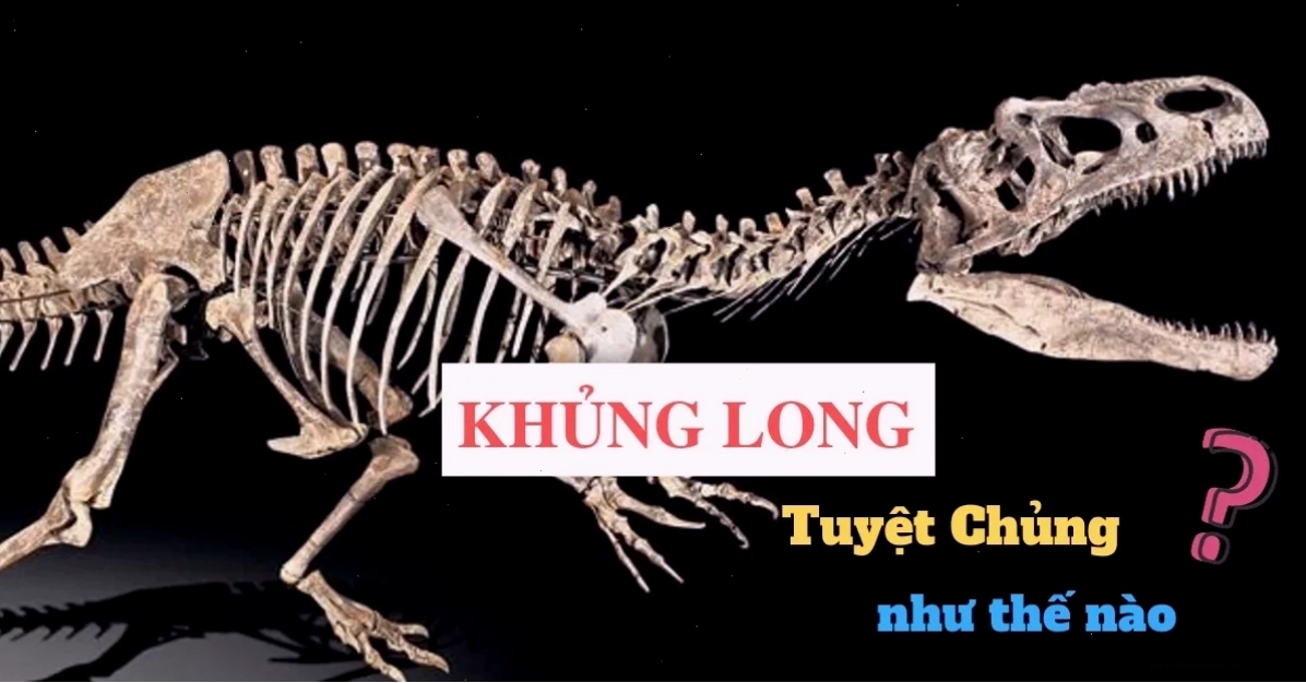 Hình ảnh minh họa về sự tuyệt chủng của khủng long