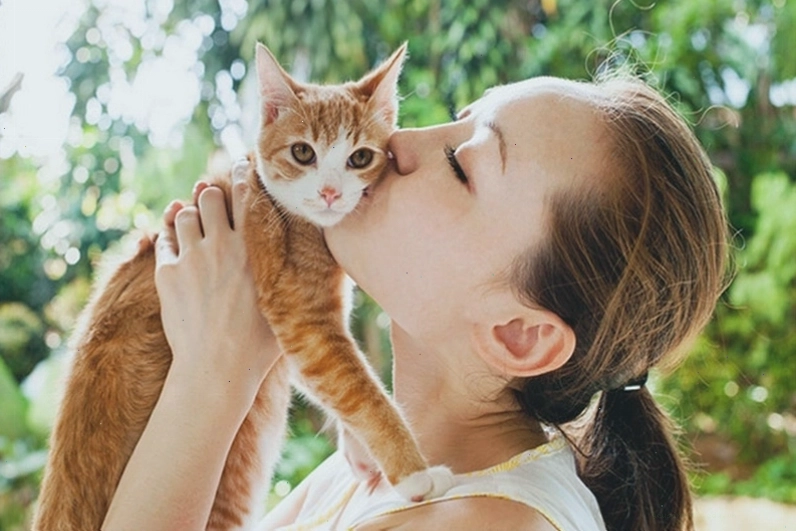 Hình ảnh nhiều phòng khám thú y điều trị hắc lào cho mèo