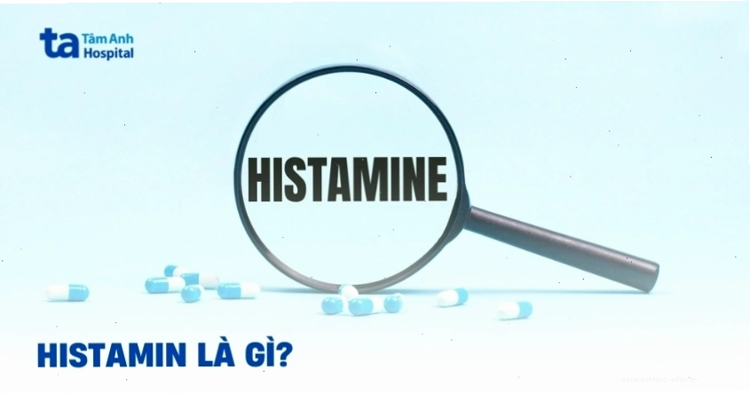 Histamin là gì và vai trò của nó trong phản ứng dị ứng