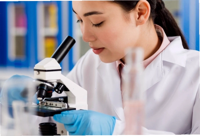 Hóa mô miễn dịch giúp xác định đặc điểm sinh học của tế bào, hỗ trợ chẩn đoán ung thư