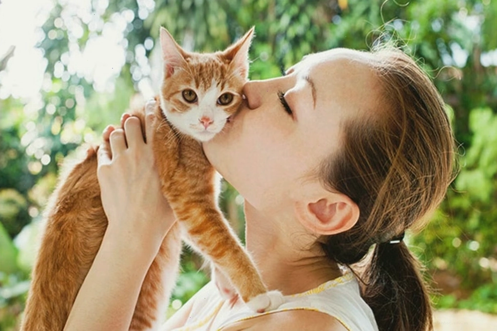Hướng dẫn chi tiết xử lý bệnh hắc lào lây từ mèo đến người