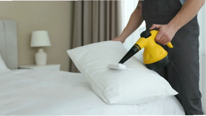 Hút bụi thảm, sofa, giường ngủ thường xuyên để phòng ngừa bọ chét
