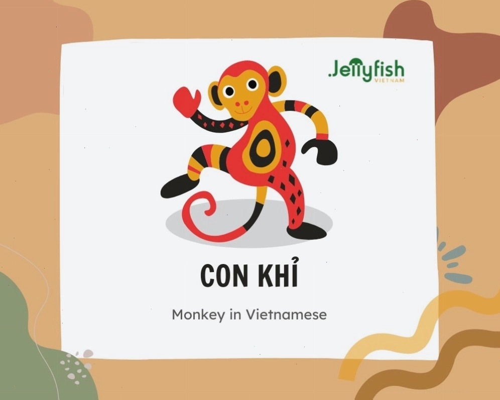 Khỉ là một trong những loài động vật trên cạn phổ biến