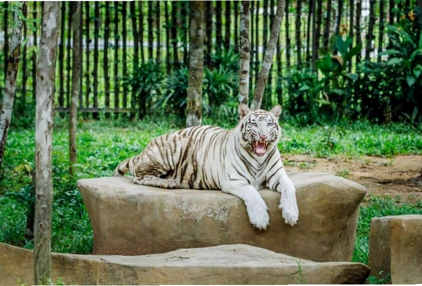 Khu bảo tồn động vật hoang dã