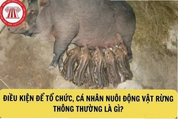Khu vực bảo tồn động vật hoang dã