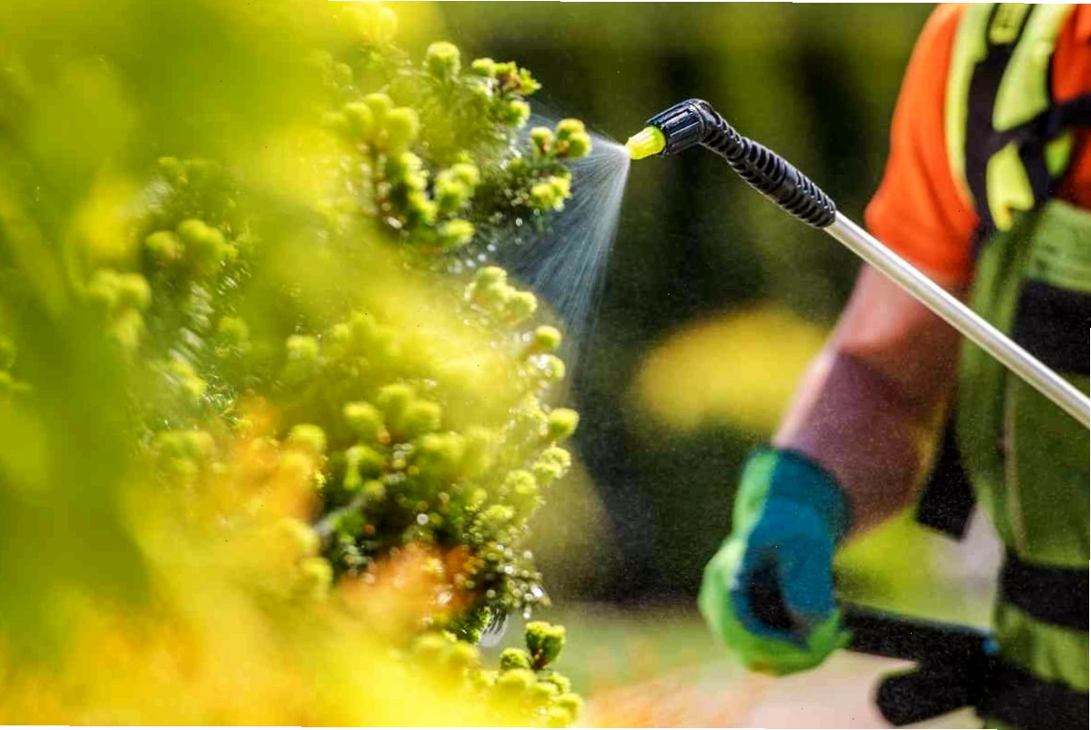 Lợi ích và hiệu quả của việc sử dụng thuốc bảo vệ thực vật sinh học