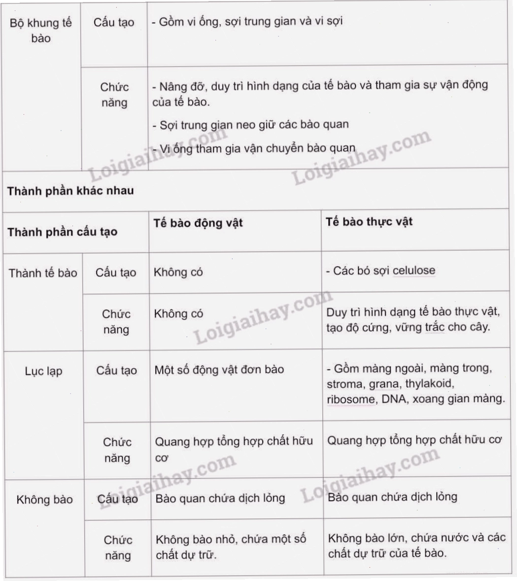 Lục lạp trong tế bào thực vật nơi diễn ra quang hợp
