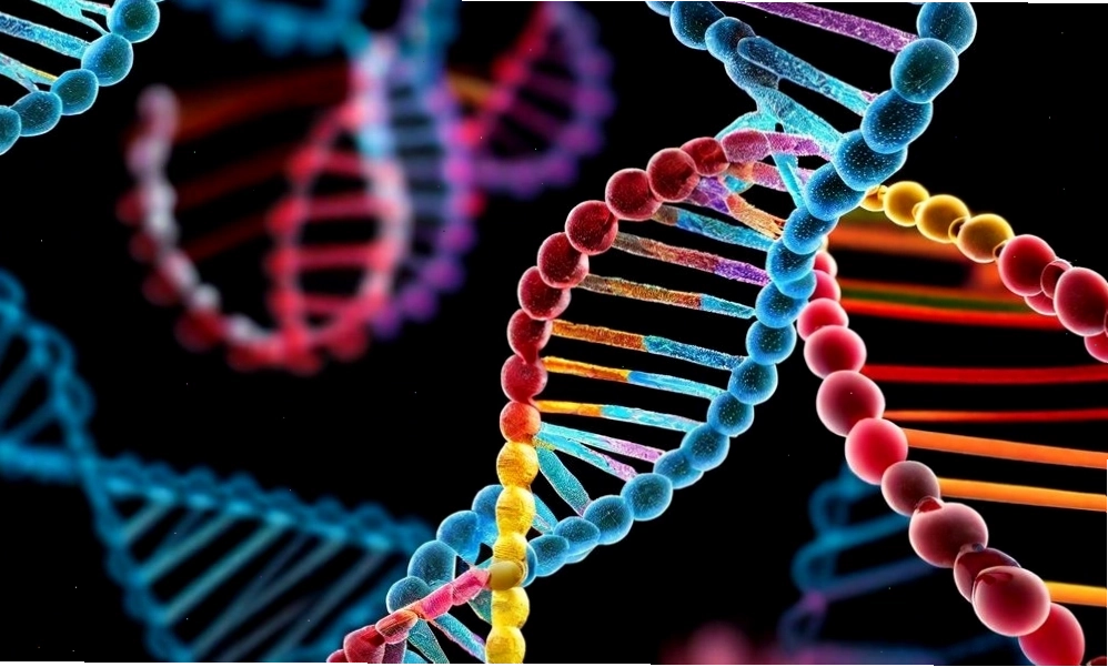 Mã di truyền chứa thông tin DNA cần thiết để tạo protein