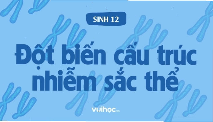 Minh họa các dạng đột biến cấu trúc nhiễm sắc thể