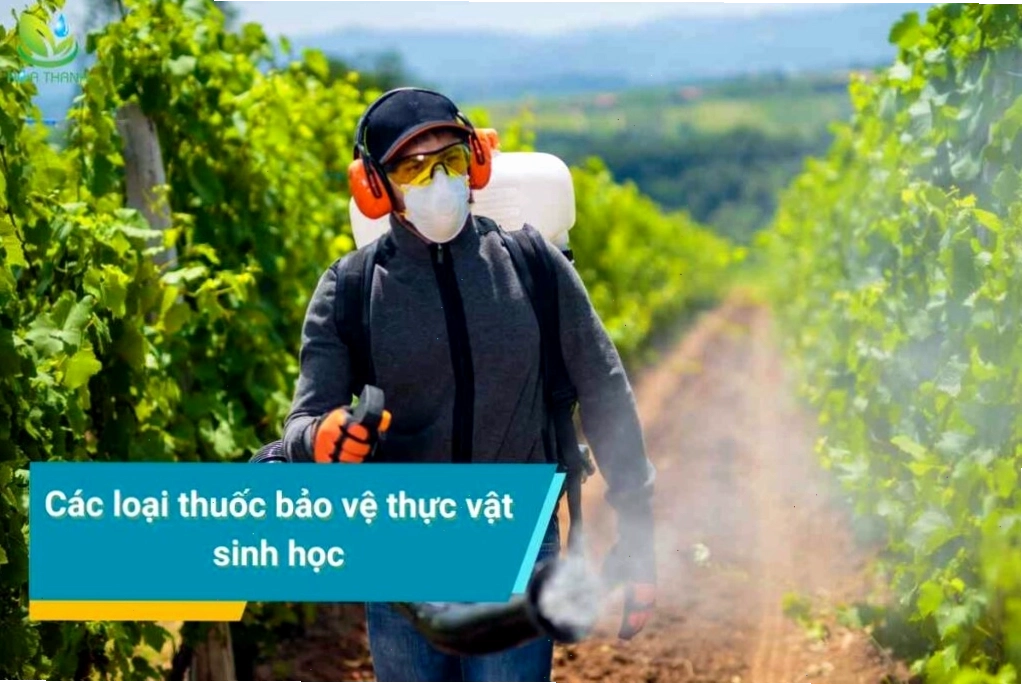 Minh họa các loại thuốc bảo vệ thực vật sinh học phổ biến