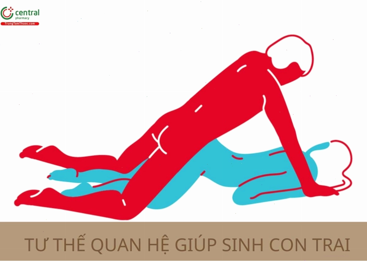 Minh họa các tư thế quan hệ có thể hỗ trợ sinh con trai