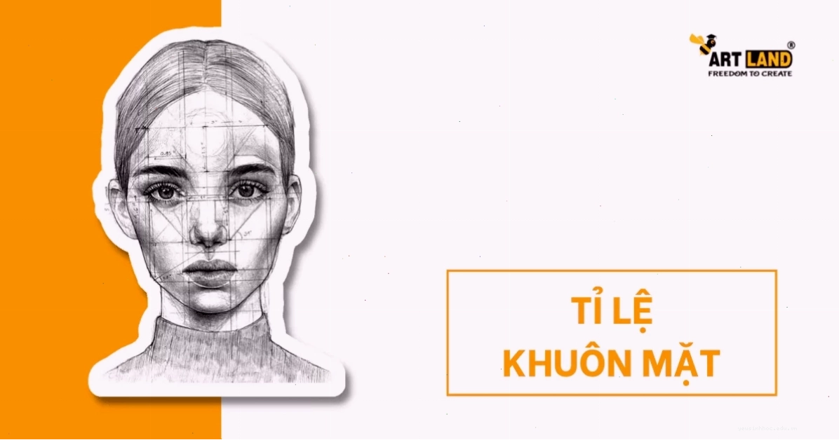 Minh họa cách chia khuôn mặt thành 3 phần
