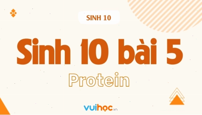 Minh họa cấu trúc bậc 3 của protein