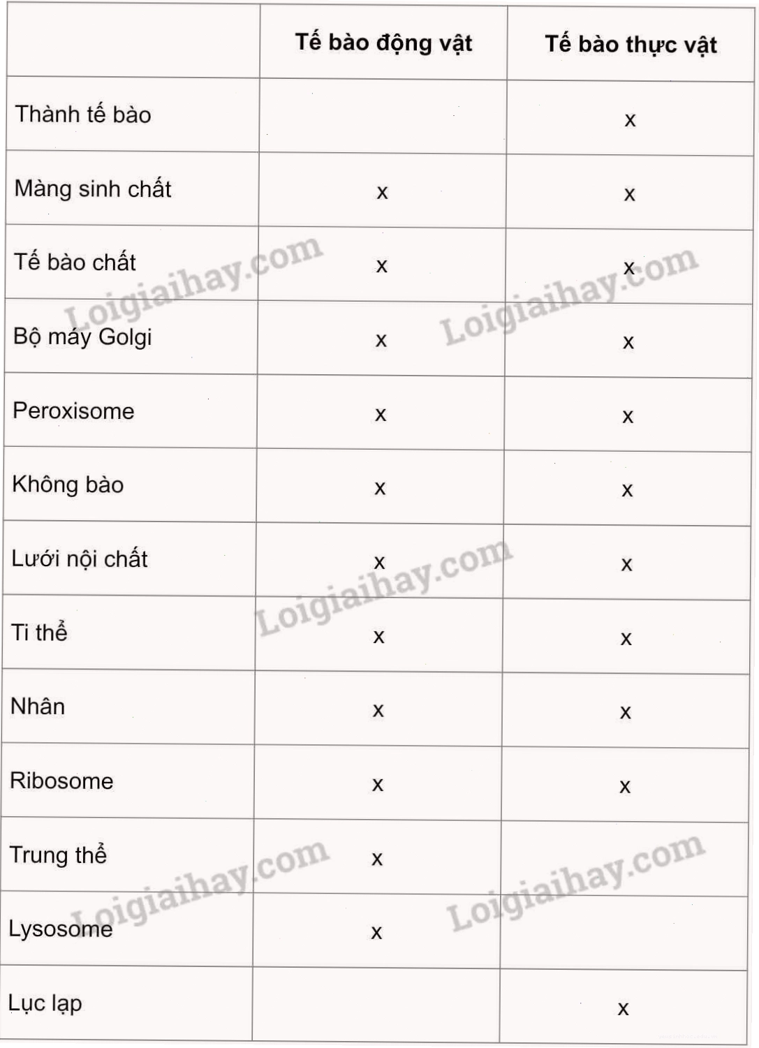 Minh họa cấu trúc tế bào động vật và tế bào thực vật