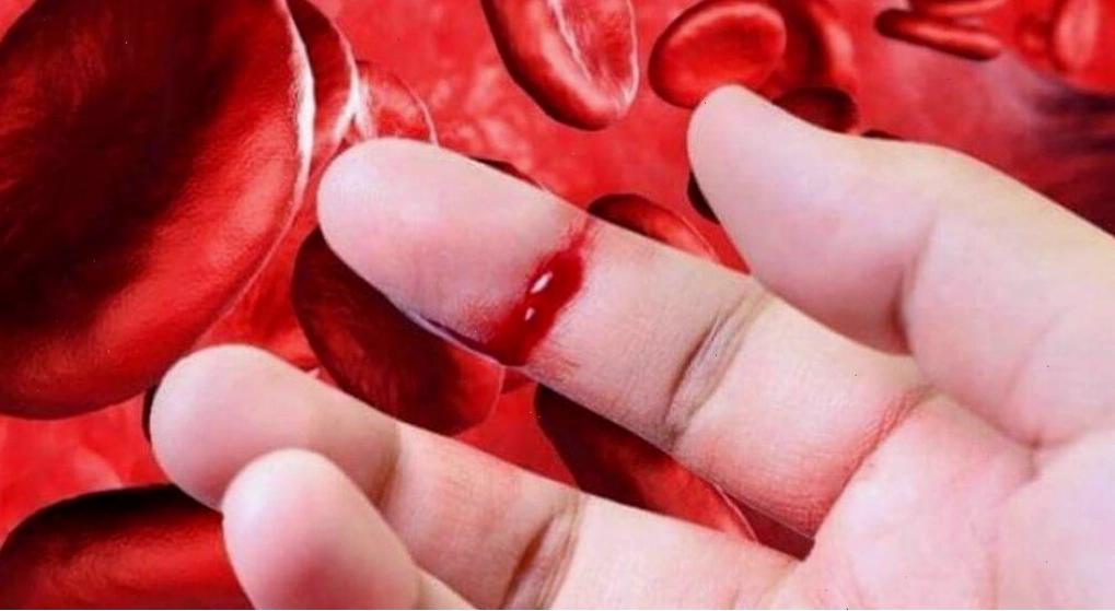 Minh họa cơ chế di truyền bệnh mù màu từ mẹ sang con trai