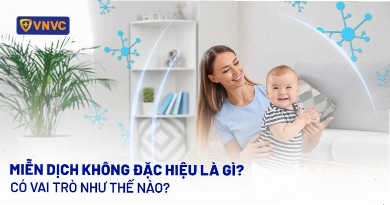 Minh họa cơ chế hoạt động của miễn dịch không đặc hiệu