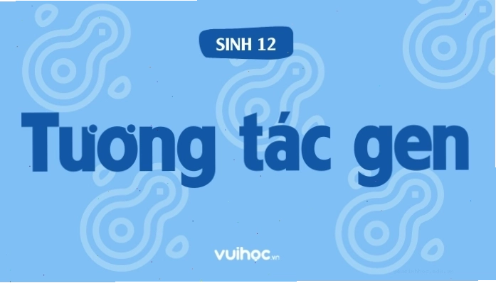Minh họa cơ chế tương tác gen
