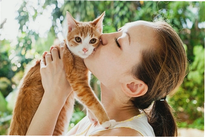 Minh họa con người có thể lây bệnh hắc lào từ mèo