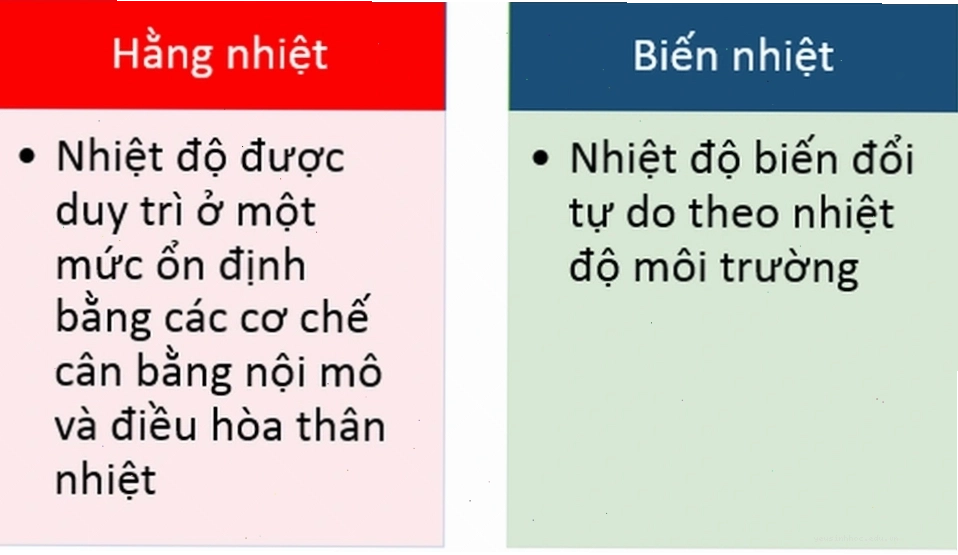 Minh họa con người trong vai trò động vật máu lạnh
