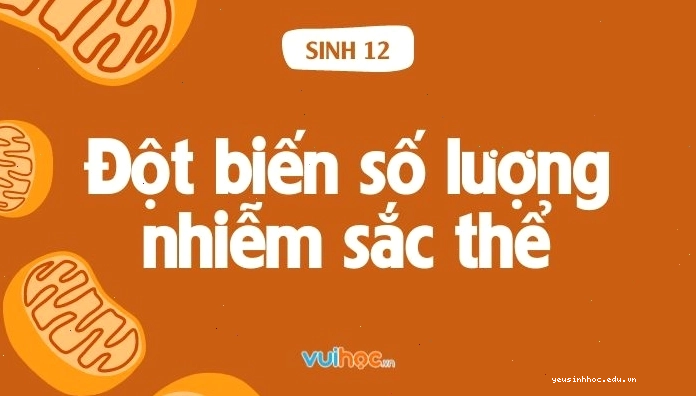 Minh họa đột biến số lượng nhiễm sắc thể thể một nhiễm