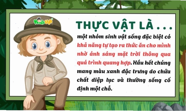 Minh họa khái niệm về thực vật và đặc điểm quang hợp