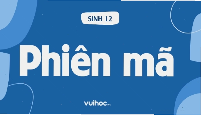 Minh họa quá trình phiên mã DNA thành RNA