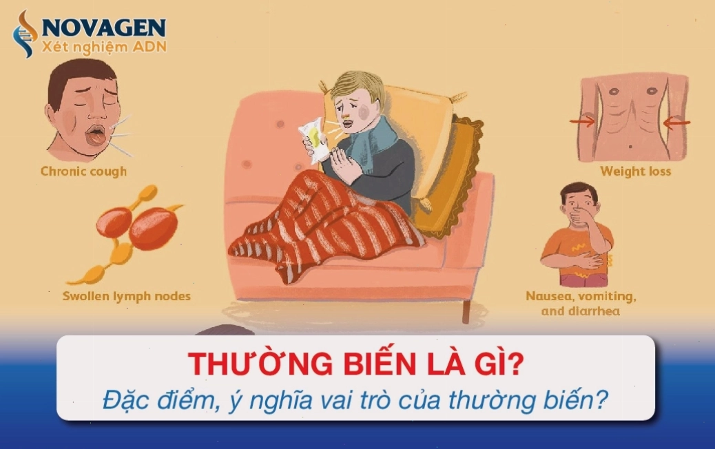 Minh họa sự khác biệt giữa thường biến và đột biến