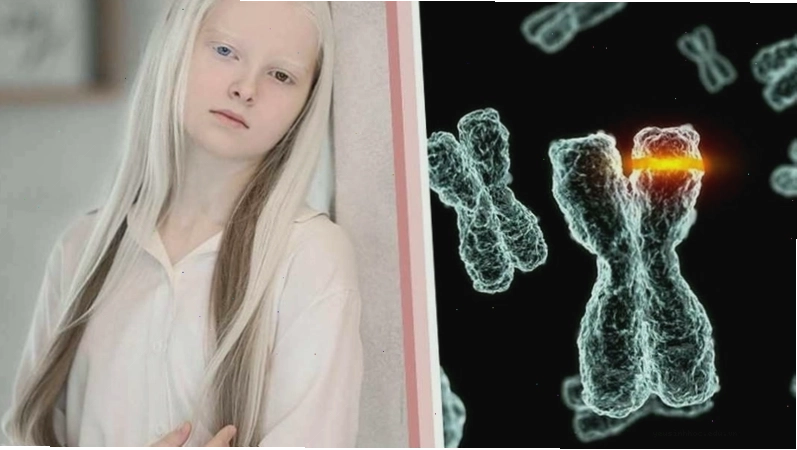 Minh họa sự thay đổi nucleotide trong đột biến đồng nghĩa