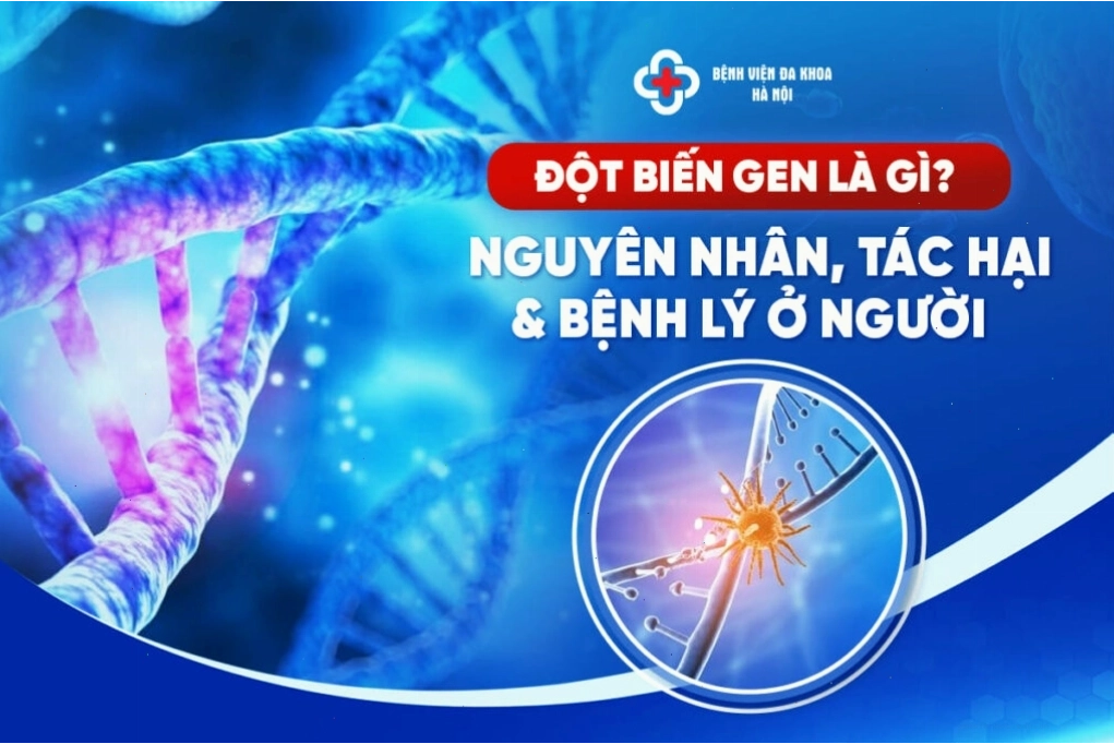 Minh họa sự thay đổi trong cấu trúc DNA do đột biến gen