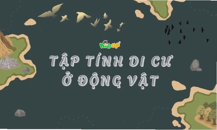 Minh họa tập tính di cư ở động vật với đàn chim bay trên bầu trời