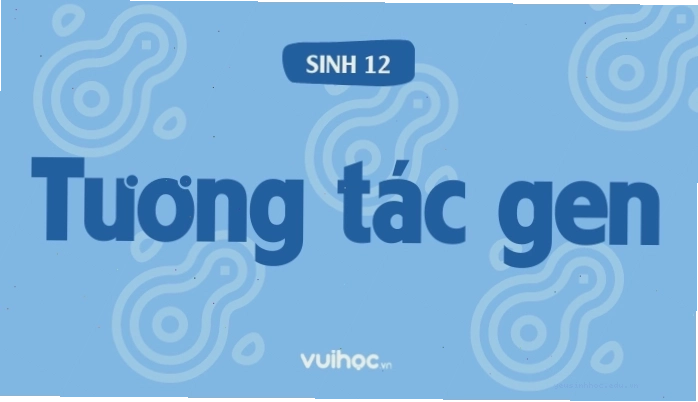Minh họa thí nghiệm của Bateson và Punnett về tương tác gen tạo ra tỷ lệ 9:7 ở F2