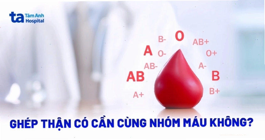 Minh họa về nhóm máu trong ghép thận
