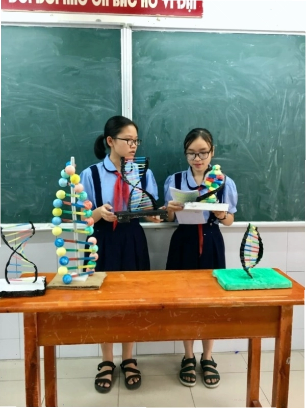 Mô hình ADN kết hợp dây kẽm và hạt xốp