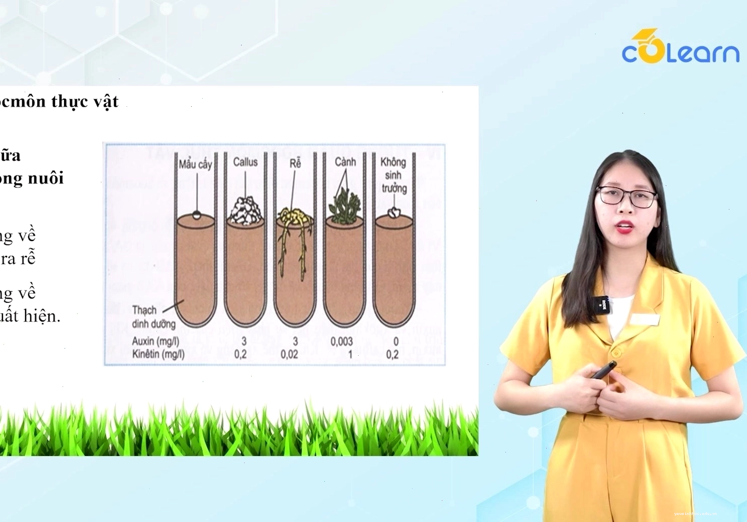 Mô phỏng tương quan giữa các hoocmôn thực vật