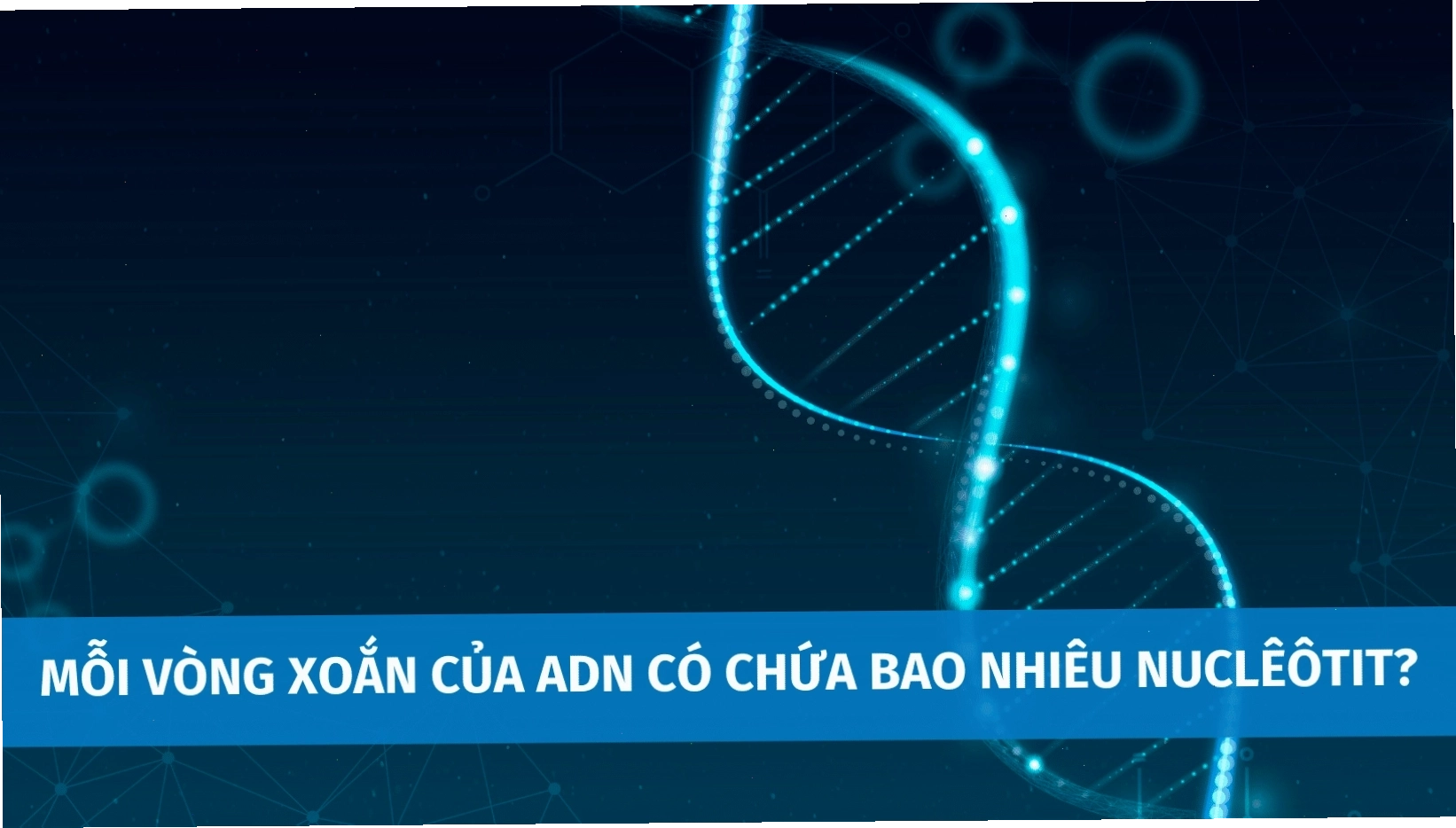 Mỗi vòng xoắn của ADN chứa 10 cặp bazơ