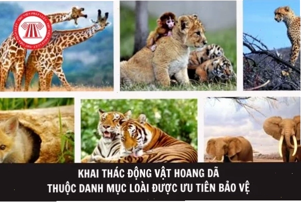 Nâng cao nhận thức cộng đồng là yếu tố then chốt trong bảo tồn