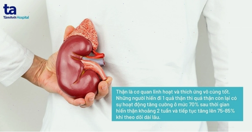 Người còn một quả thận sống khỏe mạnh