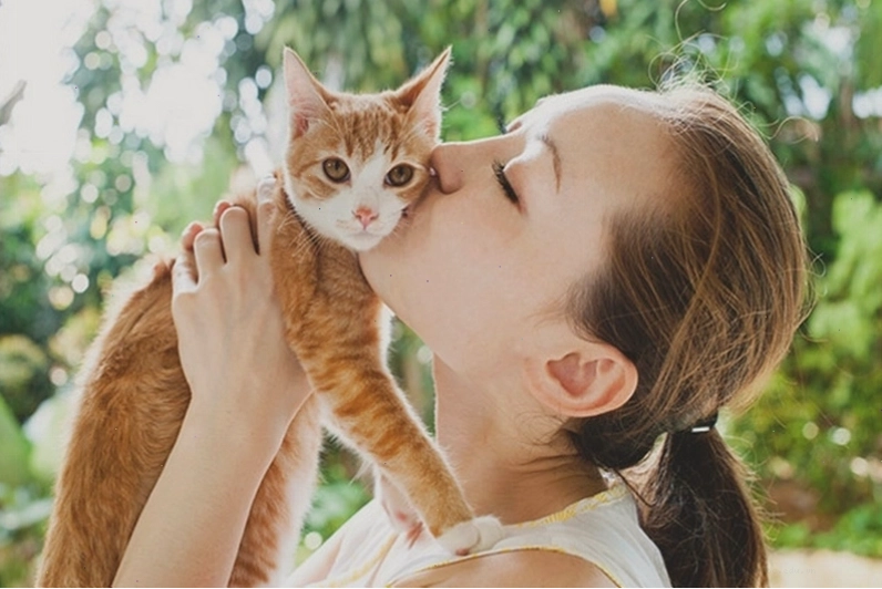 Nhiễm nấm mèo ở người có thể xảy ra khi tiếp xúc với vật nuôi bị bệnh