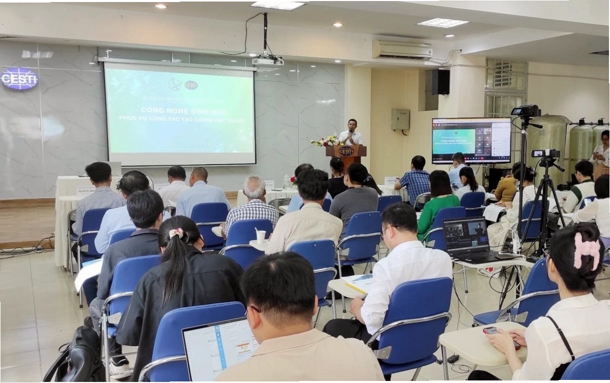 Nông dân thu hoạch vụ mùa bội thu nhờ giống cây trồng chống chịu tốt