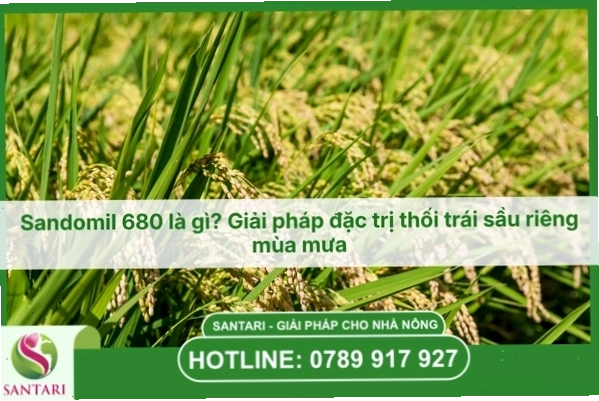 Nông nghiệp bền vững và vai trò của thực vật