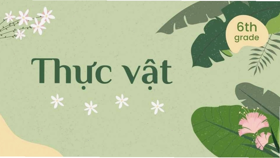 Ong mật đang thụ phấn cho hoa, minh họa vai trò quan trọng của động vật đối với thực vật